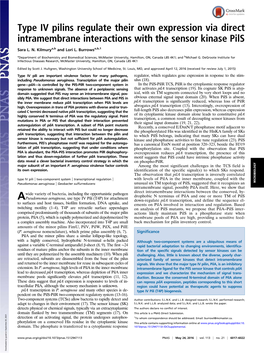 Type IV Pilins Regulate Their Own Expression Via Direct Intramembrane Interactions with the Sensor Kinase Pils