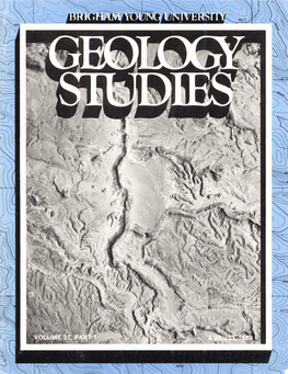 Exhumed Paleochannels in the Lower Cretaceous Cedar Mountain Formation Near Green River, Utah