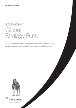 Investec Global Strategy Fund