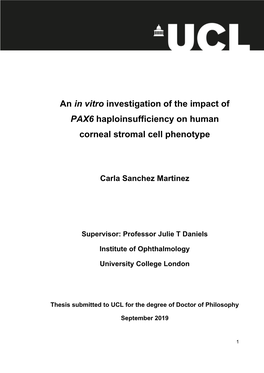 An in Vitro Investigation of the Impact of PAX6 Haploinsufficiency on Human Corneal Stromal Cell Phenotype