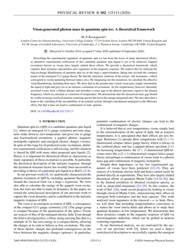 Vison-Generated Photon Mass in Quantum Spin Ice: a Theoretical Framework