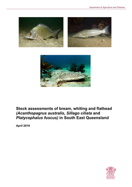 Stock Assessments of Bream, Whiting and Flathead (Acanthopagrus Australis, Sillago Ciliata and Platycephalus Fuscus) in South East Queensland
