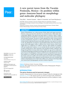 A New Parrot Taxon from the Yucatán Peninsula, Mexico—Its Position Within Genus Amazona Based on Morphology and Molecular Phylogeny