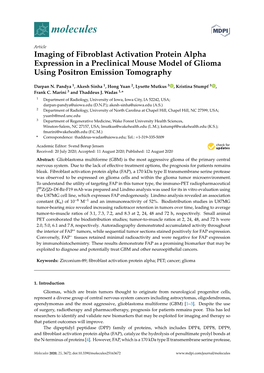 Imaging of Fibroblast Activation Protein Alpha Expression in a Preclinical Mouse Model of Glioma Using Positron Emission Tomography