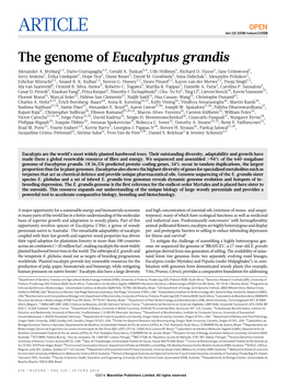 The Genome of Eucalyptus Grandis