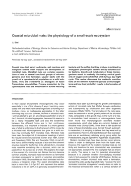 Coastal Microbial Mats: the Physiology of a Small-Scale Ecosystem