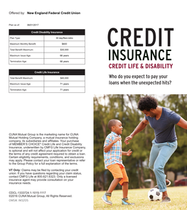 Credit Insurance Credit Life and Disability