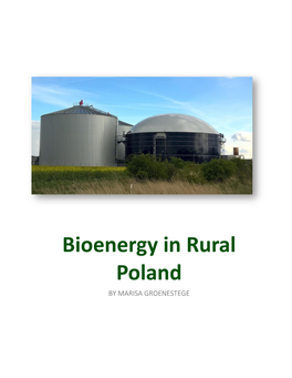Bioenergy in Rural Poland by MARISA GROENESTEGE