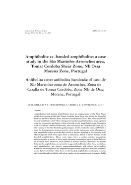 Amphibolite Vs. Banded Amphibolite: a Case Study in the São Martinho