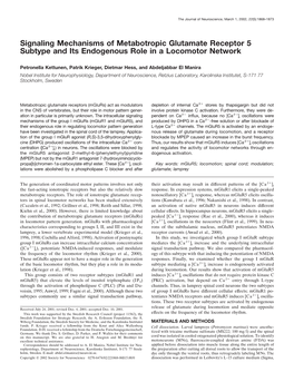 Signaling Mechanisms of Metabotropic Glutamate Receptor 5 Subtype and Its Endogenous Role in a Locomotor Network