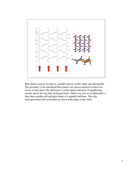 1 Beta Sheets Come in Two Flavors: Parallel (Shown on This Slide)