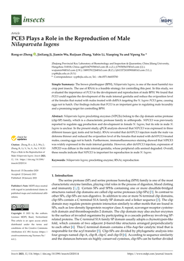 PCE3 Plays a Role in the Reproduction of Male Nilaparvata Lugens