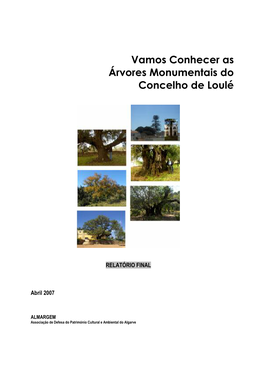 Árvores Monumentais De Loulé