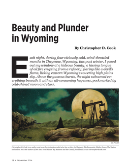 Beauty and Plunder in Wyoming by Christopher D