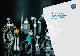 3I Group Plc Sustainability Report 2021