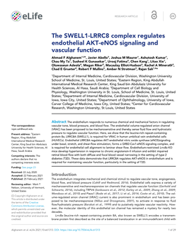 The SWELL1-LRRC8 Complex Regulates Endothelial AKT-Enos