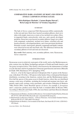 Comparative Bark Anatomy of Root and Stem in Styrax Camporum (Styracaceae)