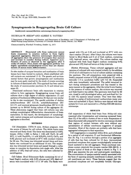 Synaptogenesis in Reaggregating Brain Cell Culture (Embryonic Mouse/Electron Microscopy/Axons/Synapses/Myelin) NICHOLAS W