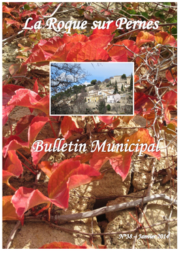 Bulletin Municipal La Roque Sur Pernes N° 38 Janvier 2014
