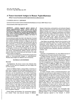 A Tumor-Associated Antigen in Human Nephroblastomas (Wilms' Tumor/Virus/Immunoelectrophoresis/Immunofluorescence) P