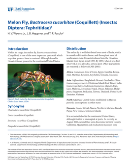 Melon Fly, Bactrocera Cucurbitae (Coquillett) (Insecta: Diptera: Tephritidae)1 H