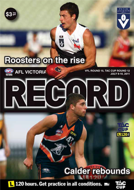 Roosters on the Rise Calder Rebounds