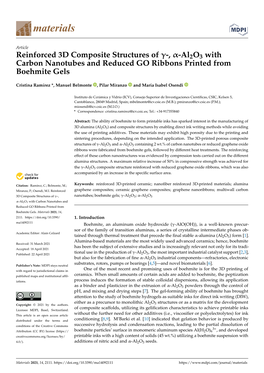 Reinforced 3D Composite Structures of -, -Al2o3 with Carbon Nanotubes