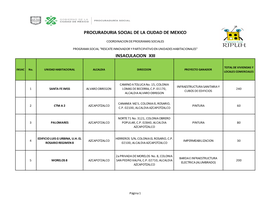 Insaculacion Xiii