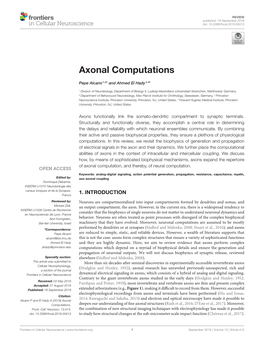 Axonal Computations