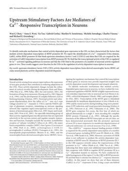 Responsive Transcription in Neurons