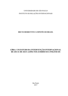 Líbia: Um Estudo Da Intervenção Internacional De 2011 E De Seus Aspectos Jurídicos E Políticos