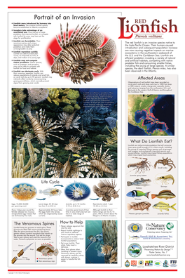 Lionfish Invasion Poster