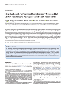 Identification of Two Classes of Somatosensory Neurons That Display Resistance to Retrograde Infection by Rabies Virus