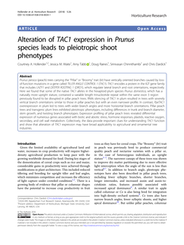 Alteration of TAC1 Expression in Prunus Species Leads to Pleiotropic Shoot Phenotypes Courtney A