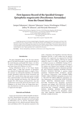 First Japanese Record of the Speckled Grouper Epinephelus Magniscuttis (Perciformes: Serranidae) from the Osumi Islands