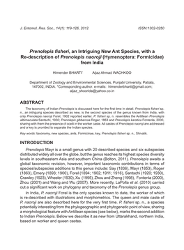 Prenolepis Fisheri , an Intriguing New Ant Species, with a Re-Description