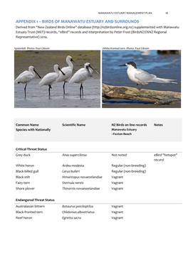 Birds of Manawatu Estuary and Surrounds