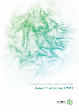 Research at a Glance 2011