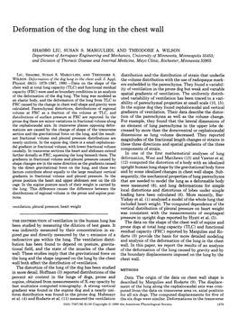 Deformation of the Dog Lung in the Chest Wall