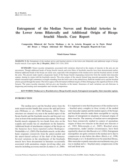 Entrapment of the Median Nerves and Brachial Arteries in the Lower Arms Bilaterally and Additional Origin of Biceps Brachii Muscle