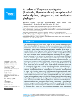 A Review of Euryoryzomys Legatus (Rodentia, Sigmodontinae): Morphological Redescription, Cytogenetics, and Molecular Phylogeny