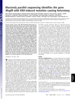 Massively Parallel Sequencing Identifies the Gene Megf8 with ENU-Induced Mutation Causing Heterotaxy