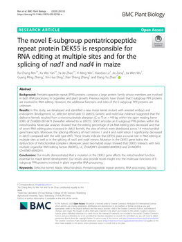 The Novel E-Subgroup Pentatricopeptide Repeat Protein