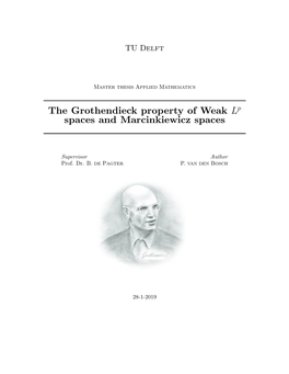 The Grothendieck Property of Weak L Spaces and Marcinkiewicz Spaces