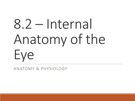 8.1.2 – Internal Anatomy of The