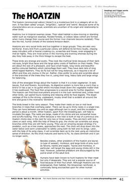 Hoatzin-Birds.Pdf