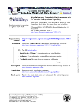 Independent Signaling − -Catenin Β Wnt5a Induces Endothelial