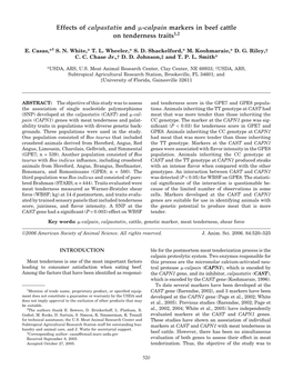 Effects of Calpastatin and Μ-Calpain Markers in Beef Cattle On