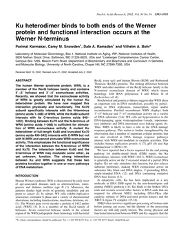 Ku Heterodimer Binds to Both Ends of the Werner Protein and Functional Interaction Occurs at the Werner N-Terminus