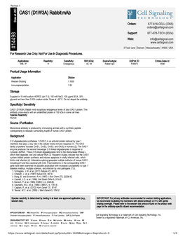 14498 OAS1 (D1W3A) Rabbit Mab